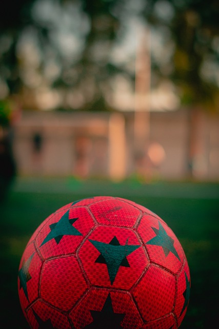 相关组织对 相关组织对