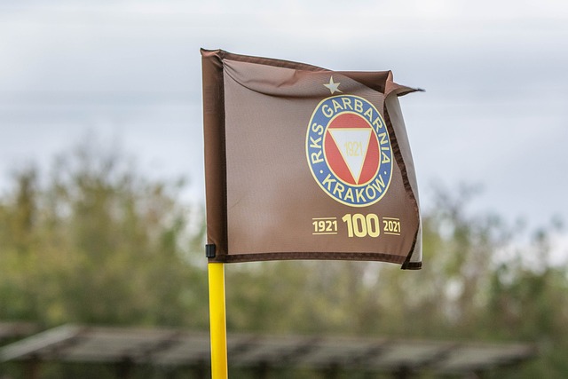 球迷的热议 球迷的热议