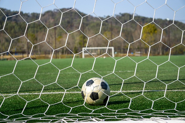 方法之一 方法之一