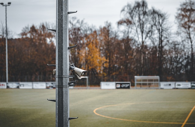 将会更加激 将会更加激