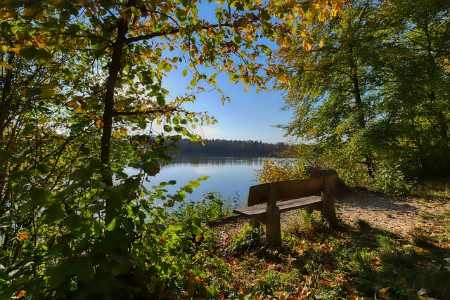 没有人可以 没有人可以